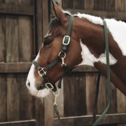 Licol en nylon tressé - Kentucky Licols Et Longes