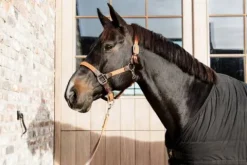 Licol en nylon tressé - Kentucky Licols Et Longes