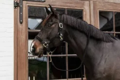 Licol en nylon tressé - Kentucky Licols Et Longes