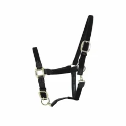 Licol en nylon tressé - Kentucky Licols Et Longes