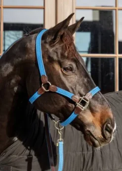Licol en nylon tressé - Kentucky Licols Et Longes
