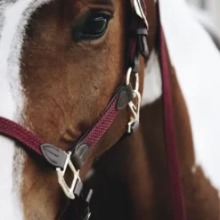 Licol en nylon tressé - Kentucky Licols Et Longes