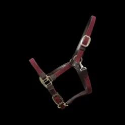 Licol en nylon tressé - Kentucky Licols Et Longes