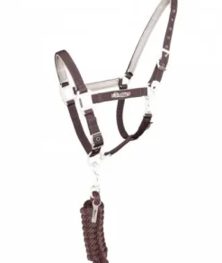 New Licol Fusion Licols Et Longes