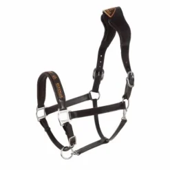 Sale Licol ergonomique en cuir vachette - - Confort optimal Licols Et Longes