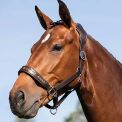 Sale Licol ergonomique en cuir vachette - - Confort optimal Licols Et Longes