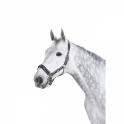 Licol Licols Et Longes