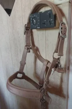 Outlet Licol et longe Licols Et Longes