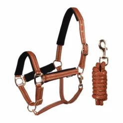 Discount Licol et longe Deluxe - - Rembourré en mesh Licols Et Longes