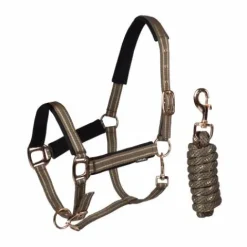 Discount Licol et longe Deluxe - - Rembourré en mesh Licols Et Longes