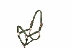 Clearance Licol et longe en cuir Evening Haze - Licols Et Longes