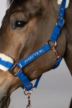 Clearance Licol et longe Holly Licols Et Longes