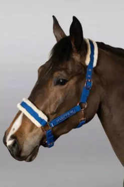 Clearance Licol et longe Holly Licols Et Longes