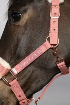 Clearance Licol et longe Holly Licols Et Longes