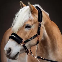 New Licol et longe Love - Harry's Horse - Doublé en fausse fourrure Licols Et Longes