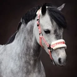 New Licol et longe Love - Harry's Horse - Doublé en fausse fourrure Licols Et Longes