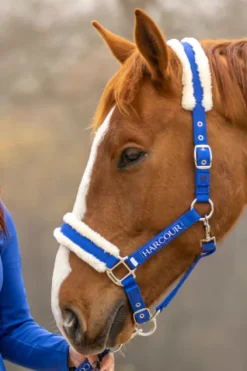Best Licol et longe Teschic - - édition limitée Licols Et Longes