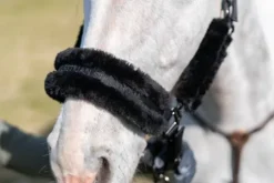 Discount Licol et longe Total Eclipse - Licols Et Longes