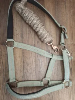 Discount Licol et sa longe Licols Et Longes