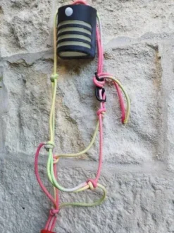 LICOL ETHOLOGIQUE Licols Et Longes