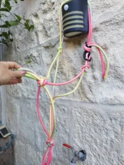 LICOL ETHOLOGIQUE Licols Et Longes