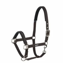 Licol ethologique Basics - - Nylon Licols Et Longes