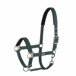 Licol ethologique Basics - - Nylon Licols Et Longes