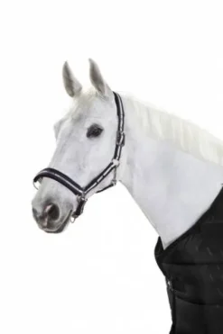 Licol ethologique Basics - - Nylon Licols Et Longes