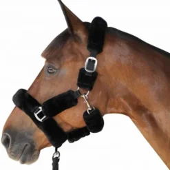 Online Licol Faux Fur Licols Et Longes