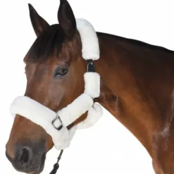 Online Licol Faux Fur Licols Et Longes