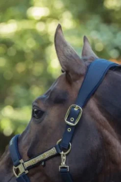 Best Licol Faux Leather Heritage 2025 - Licols Et Longes