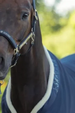 Best Licol Faux Leather Heritage 2025 - Licols Et Longes