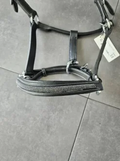 Best Licol flags ans cup Licols Et Longes