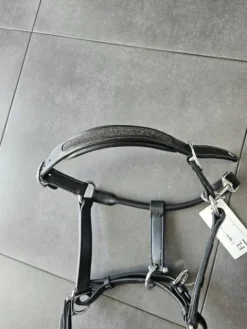 Best Licol flags ans cup Licols Et Longes