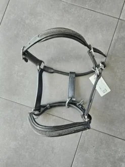 Best Licol flags ans cup Licols Et Longes