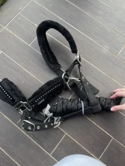 Clearance licol Licols Et Longes