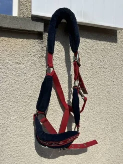 Clearance Licol Licols Et Longes