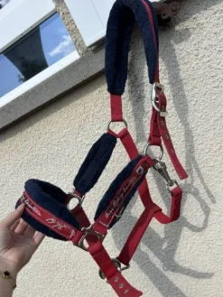 Clearance Licol Licols Et Longes