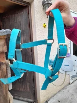 Best Licol Fouganza Turquoise Licols Et Longes