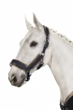 Hot Licol Glossy Faux Fur Classic Sport S/S 2021  - Licols Et Longes