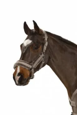 Hot Licol Glossy Faux Fur Classic Sport S/S 2021  - Licols Et Longes