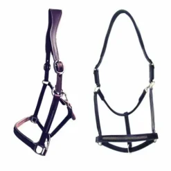 Sale Licol Goldy cuir - Licols Et Longes