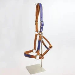 Sale Licol Haut de Gamme en cuir - Licols Et Longes