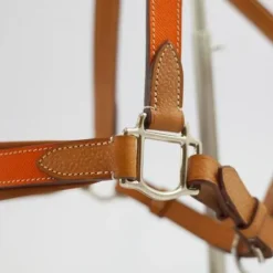 Licol Haut de Gamme en cuir + Longe - Licols Et Longes