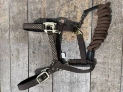 Clearance Licol Licols Et Longes