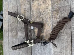 Clearance Licol Licols Et Longes