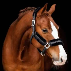 Discount Licol Hollywood Glamorous - Midnight Sparkle Licols Et Longes