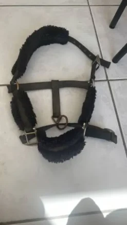 New Licol Kentucky Licols Et Longes