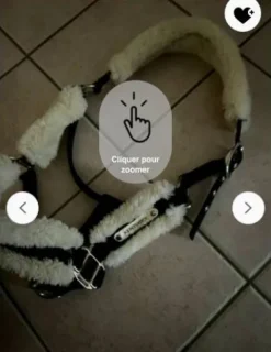 New Licol Kentucky Licols Et Longes