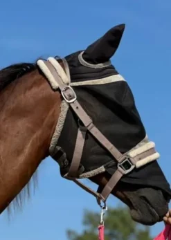 Sale Licol mauve Licols Et Longes